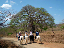 Costa Rica-Guanacaste-Ranches, Volcanoes & Beaches in Guanacaste